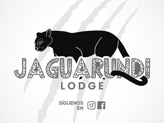 cliente16